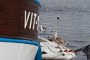 IMG_0319