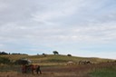 IMG_0321