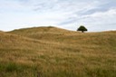 IMG_0328