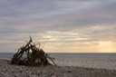 IMG_0352