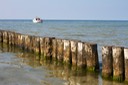 IMG_0453