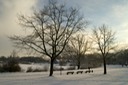 Landschaft
