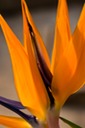 Farben